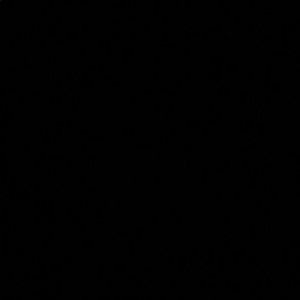 Meet your Posher, Tabitha